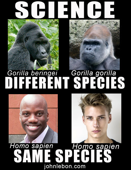 species-meme-2