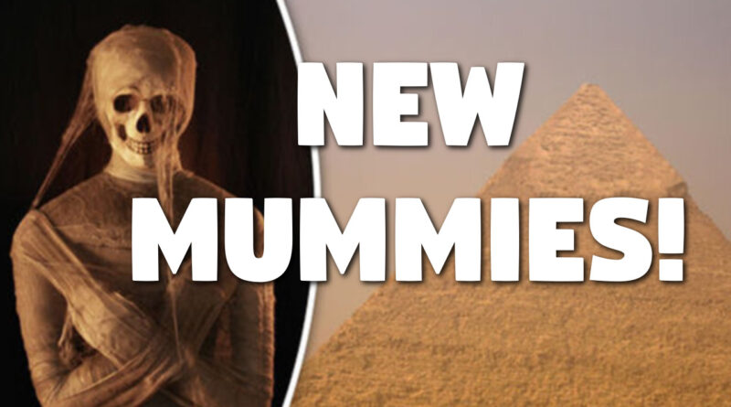 New Mummies Discovered in Egypt